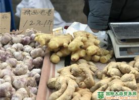 蘭州：綠葉菜、大姜等蔬菜價格大漲 ()