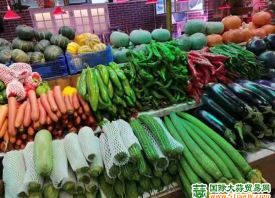 陜西省：菜價持續上漲 ()