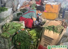 庫爾勒市 ：供應充足 菜價平穩 ()