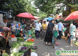 德州市：蔬菜身價(jià)升 ()