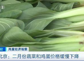 大慶：蔬菜價(jià)格上漲明顯 ()