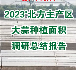 【即將發布】2023'北方主產區大蒜種植面積調研總結報告 (1829播放)