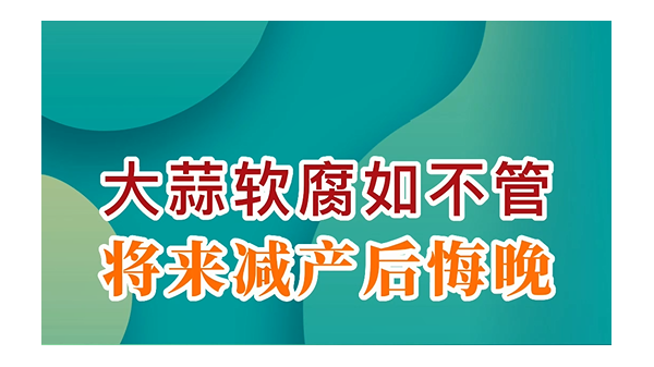 大蒜軟腐如不管，將來減產后悔晚 (734播放)