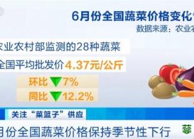 6月全國蔬菜價格季節性下降 ()