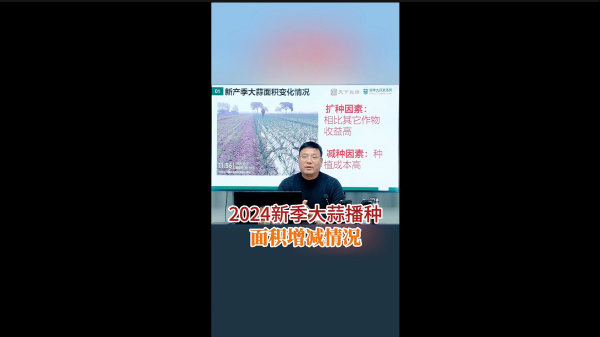 2024新季大蒜播種面積增減情況 (721播放)