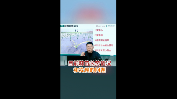 目前蒜苗長勢情況和發現的問題 (602播放)