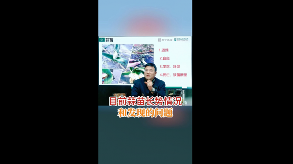 目前蒜苗長勢情況和發現的問題 (679播放)