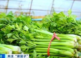 11月份全國蔬菜價格區間下行 ()