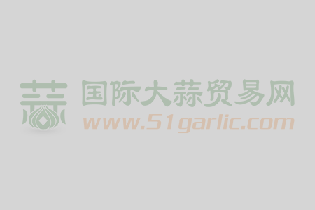 江西省龍頭企業新太好實業投資有限公司大量收購優質大蒜